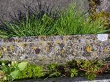 image of grave number 842506